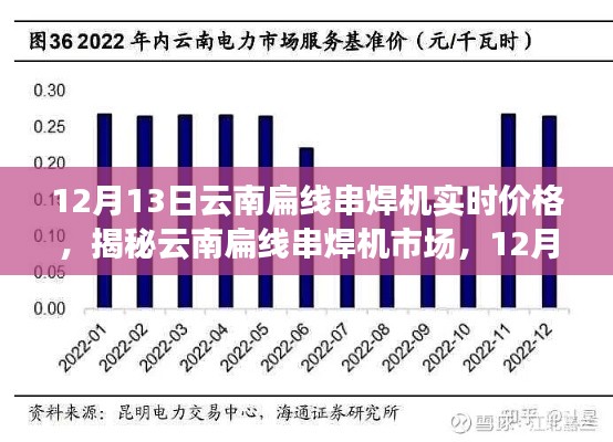 揭秘云南扁线串焊机市场，最新实时价格动态解析（12月13日）