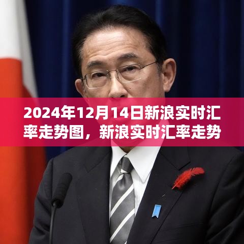 揭秘2024年新浪实时汇率走势，深度分析并预测未来汇率动态