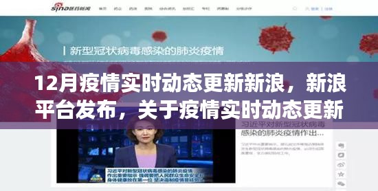 新浪发布，疫情实时动态更新深度解读与要点详解（十二月版）
