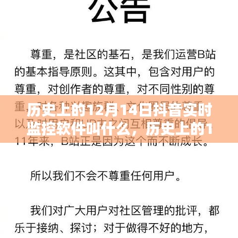 揭秘历史日期中的抖音实时监控软件名称，揭秘与观点探析的探讨