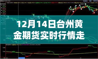 台州黄金期货宝藏店，实时行情与隐秘魅力的交汇点（台州黄金期货行情分析）