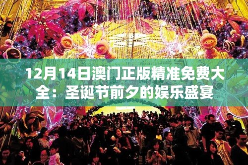 12月14日澳门正版精准免费大全：圣诞节前夕的娱乐盛宴