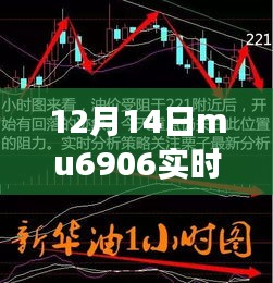 揭秘小巷深处的独特风味，MU6906带你探索特色小店的秘密之旅（12月14日实时查询）