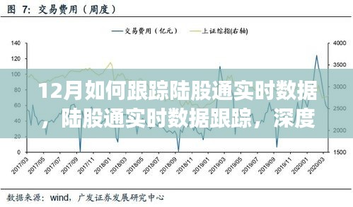 十二月陆股通实时数据跟踪解析，洞悉投资脉搏的深度指南