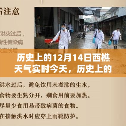 历史上的今天与未来希望，西樵天气的启示与学习力量