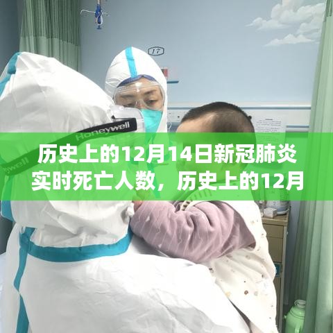 历史上的12月14日新冠肺炎实时死亡人数变迁概述