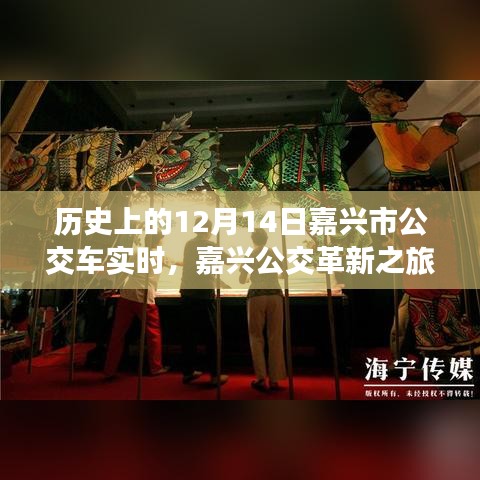 穿越时光体验智能公交新纪元，嘉兴公交革新之旅的12月14日实时回顾