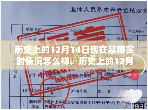 关于历史12月14日暴雨事件实时分析，现状、历史影响与观点探讨