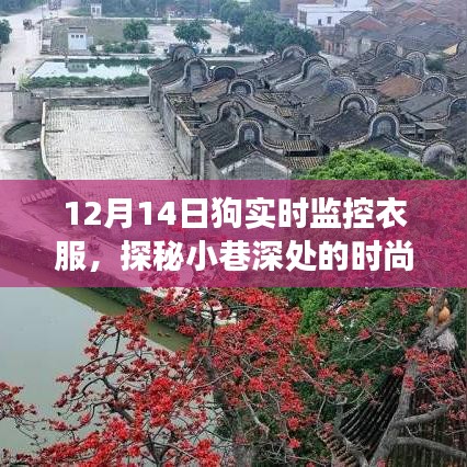 探秘时尚秘境，狗监控智能衣物店揭秘十二月的时尚潮流服饰