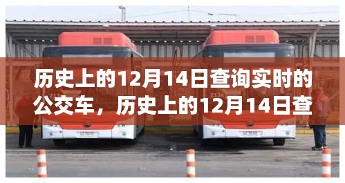 实时公交查询应用，历史与未来，时间与空间的完美融合深度评测