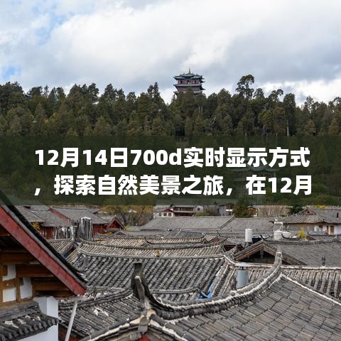探索自然美景之旅，在12月14日700d实时显示中找寻内心的宁静与平和