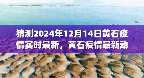 黄石疫情预测与实时信息获取指南，初学者与进阶用户适用（2024年最新动态）