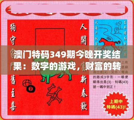 澳门特码349期今晚开奖结果：数字的游戏，财富的转变