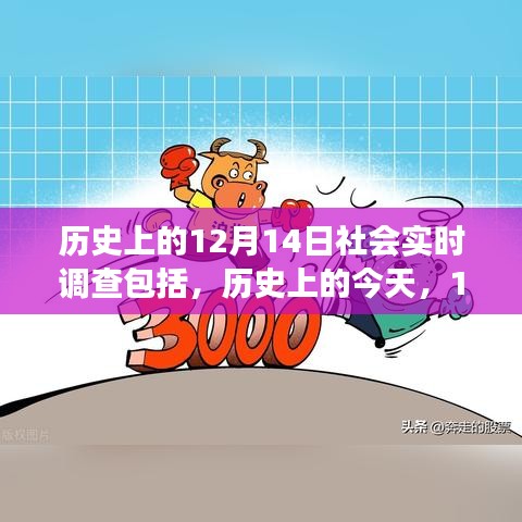 历史上的今天，揭秘改变世界的时刻与成长之路的交汇点——12月14日社会实时调查回顾