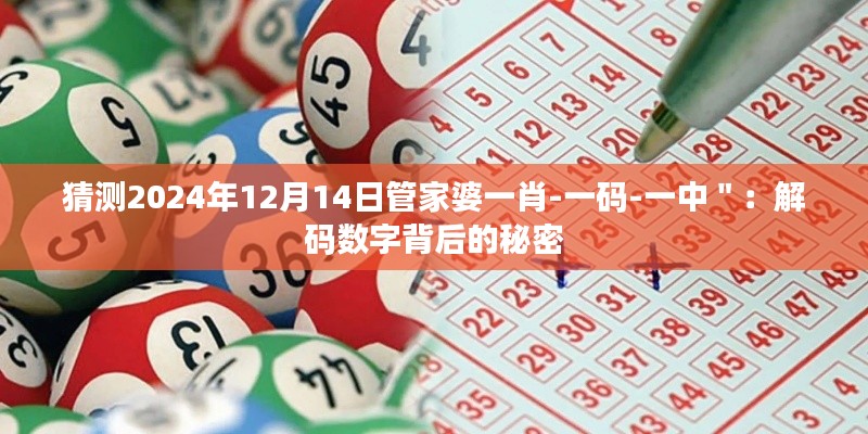 猜测2024年12月14日管家婆一肖-一码-一中＂：解码数字背后的秘密