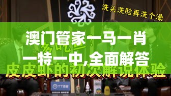 澳门管家一马一肖一特一中,全面解答解释落实_2DM3.440