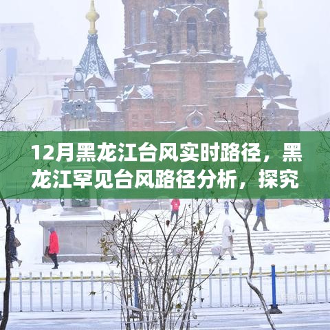 飞箭如蝗 第4页
