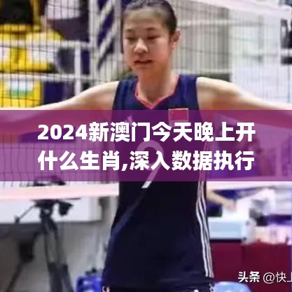2024新澳门今天晚上开什么生肖,深入数据执行计划_经典款9.685