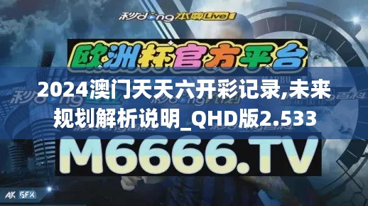 2024澳门天天六开彩记录,未来规划解析说明_QHD版2.533