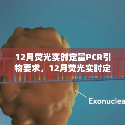 三足鼎立 第3页