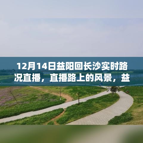 益阳至长沙实时路况直播，探寻自然魔法与内心宁静之旅