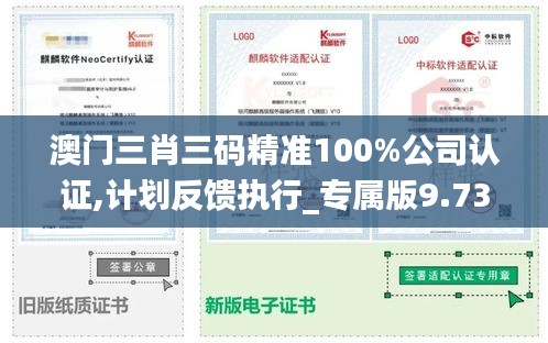 澳门三肖三码精准100%公司认证,计划反馈执行_专属版9.735