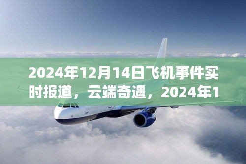 云端奇遇，飞行日与友情魔法——实时报道2024年12月14日飞机事件