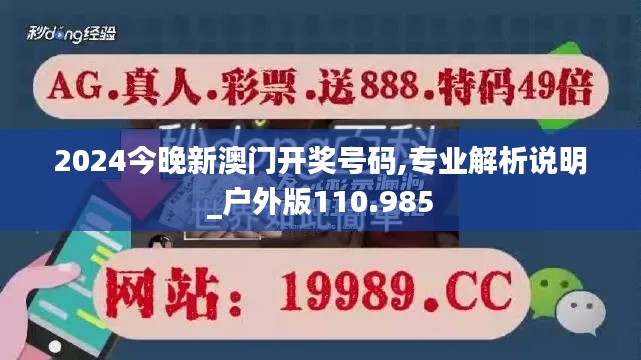 2024今晚新澳门开奖号码,专业解析说明_户外版110.985