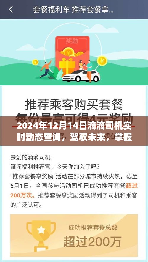 驾驭未来，掌握滴滴司机实时动态查询，助力梦想与自信成长之路
