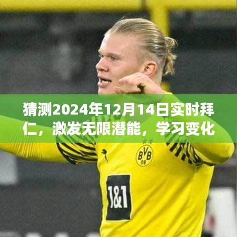 激发潜能，共舞未来，与拜仁共度的励志篇章——2024年12月14日实时观察