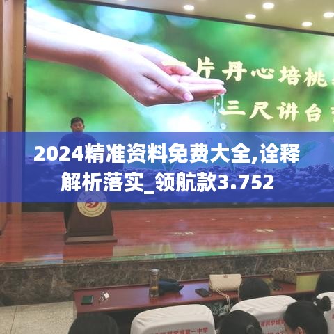2024精准资料免费大全,诠释解析落实_领航款3.752
