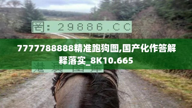 7777788888精准跑狗图,国产化作答解释落实_8K10.665