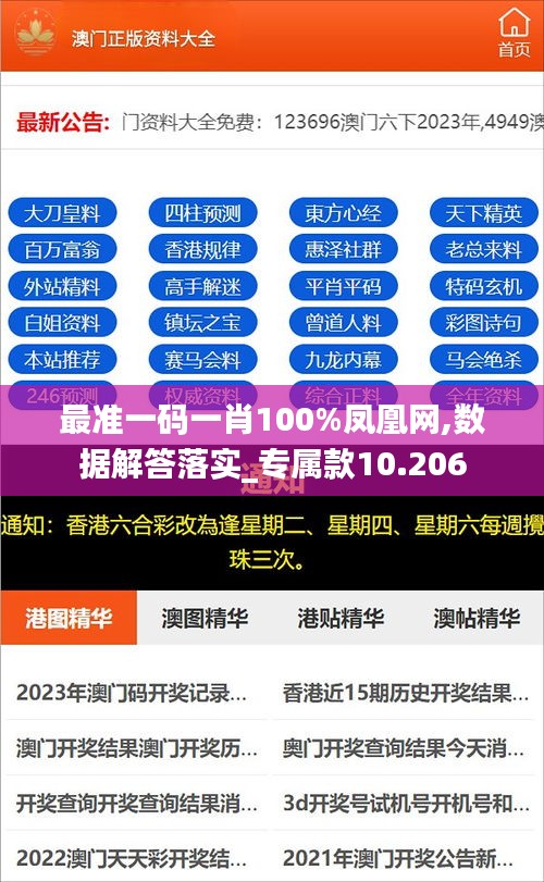 最准一码一肖100%凤凰网,数据解答落实_专属款10.206