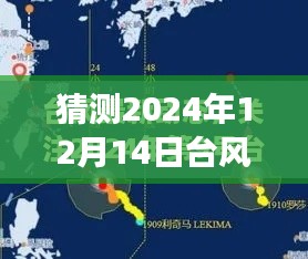 台风灿都动态路径预测，与台风灿都的奇妙邂逅