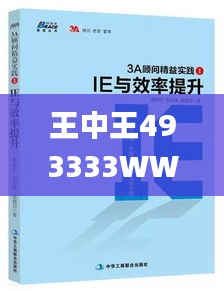 王中王493333WWW马头诗,效率解答解释落实_Advance2.425