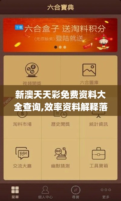 新澳天天彩免费资料大全查询,效率资料解释落实_NE版4.968