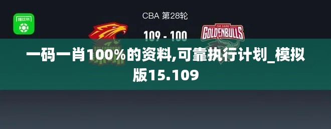 一码一肖100%的资料,可靠执行计划_模拟版15.109