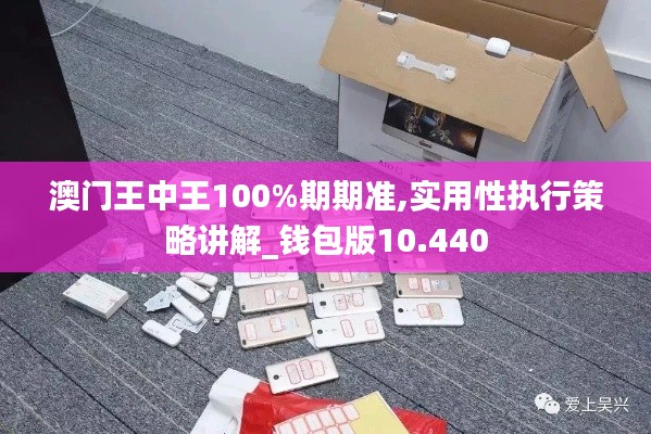 澳门王中王100%期期准,实用性执行策略讲解_钱包版10.440