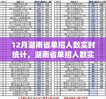 湖南省十二月单招人数实时统计，聚焦报名热潮
