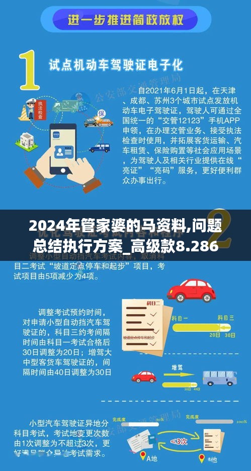 2024年管家婆的马资料,问题总结执行方案_高级款8.286