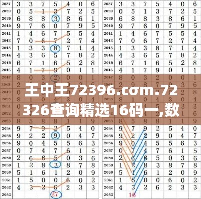 王中王72396.cσm.72326查询精选16码一,数据解析计划导向_限量版6.813