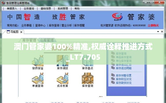 澳门管家婆100%精准,权威诠释推进方式_LT7.705