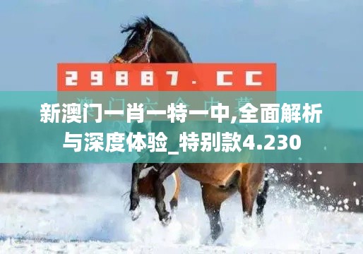 新澳门一肖一特一中,全面解析与深度体验_特别款4.230