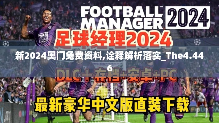 新2024奥门兔费资料,诠释解析落实_The4.446
