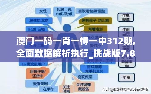 澳门一码一肖一恃一中312期,全面数据解析执行_挑战版7.842