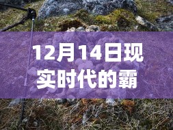霸王龙变形记，与自然美景的奇妙之旅，探寻心灵宁静之地