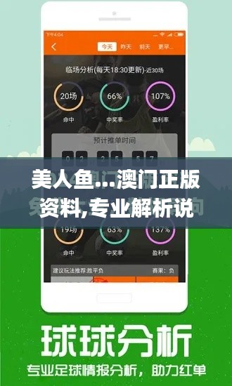 美人鱼…澳门正版资料,专业解析说明_升级版2.795