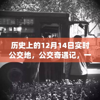 公交奇遇记，友谊与陪伴的温馨故事在特殊日子的上演
