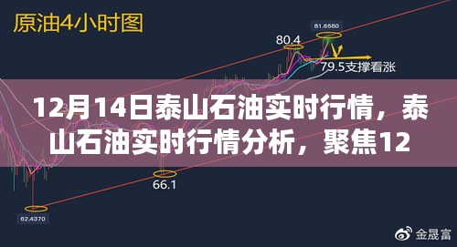 12月14日泰山石油实时行情解析，油价波动一览无余