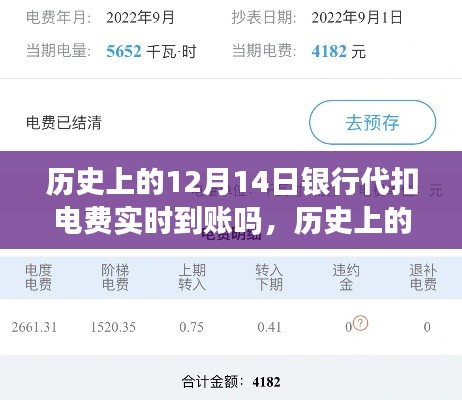 历史上的12月14日银行代扣电费实时到账情况探究与分析